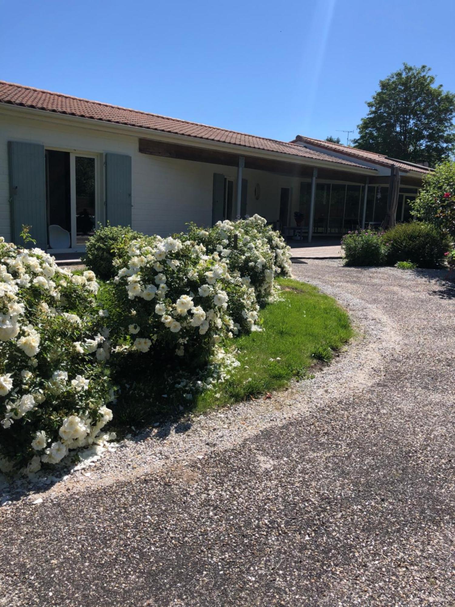 Chambres D Hotes Villa Anani Cosson Alex Barbezieux-Saint-Hilaire Экстерьер фото